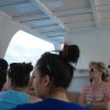 dsc00706